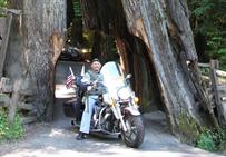 2012 - Redwoods National Park, CA